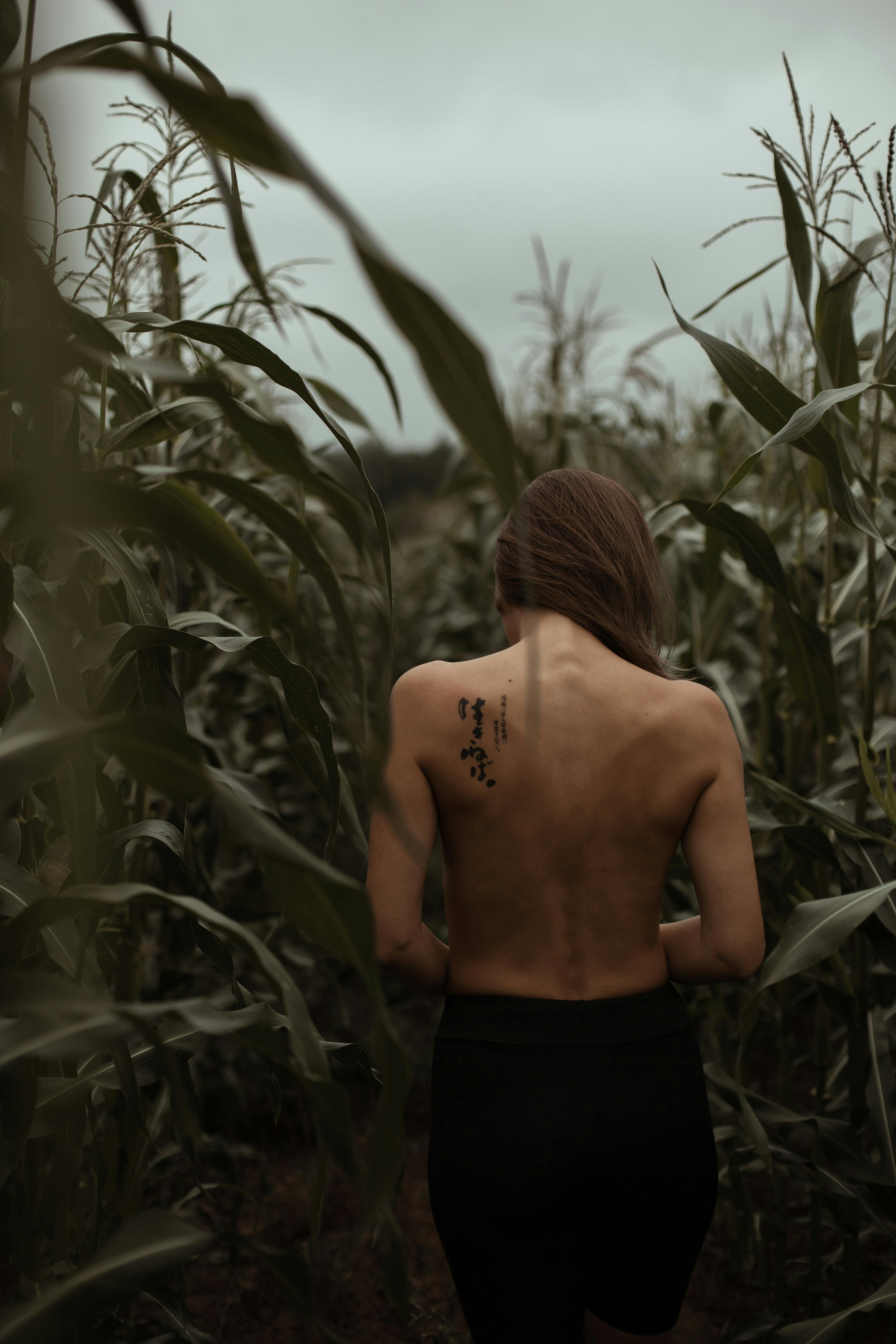 A Topless Woman in a Cornfield · Free Stock Photo